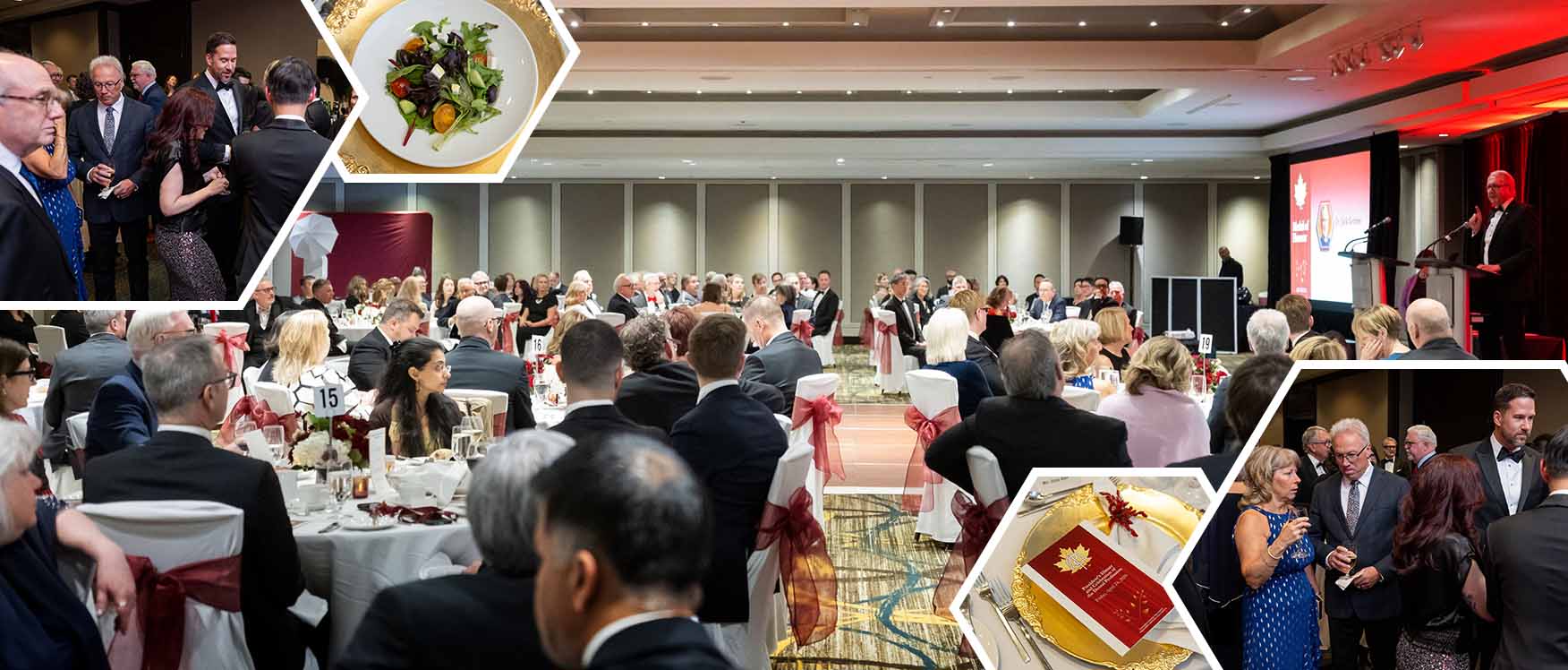 Sponsorship dinner public gathering