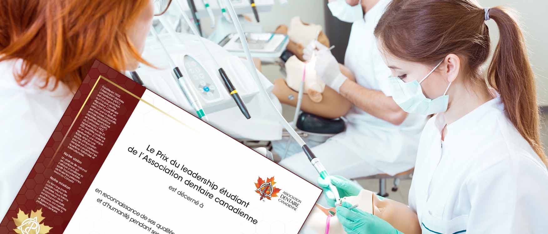 certificate in foreground of dental students
